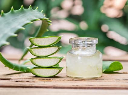 ayurveda by elodie